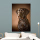 Chocolate Labrador Retriever Wall Mural