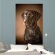 Chocolate Labrador Retriever Wall Mural
