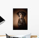 Chocolate Labrador Retriever Wall Mural