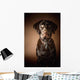 Chocolate Labrador Retriever Wall Mural