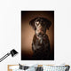 Chocolate Labrador Retriever Wall Mural