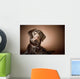 Chocolate Labrador Retriever Wall Mural