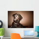 Chocolate Labrador Retriever Wall Mural
