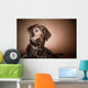 Chocolate Labrador Retriever Wall Mural