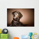 Chocolate Labrador Retriever Wall Mural