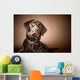 Chocolate Labrador Retriever Wall Mural