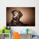 Chocolate Labrador Retriever Wall Mural