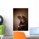 Chocolate Labrador Retriever Wall Mural