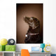 Chocolate Labrador Retriever Wall Mural