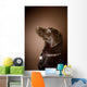 Chocolate Labrador Retriever Wall Mural