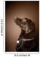 Chocolate Labrador Retriever Wall Mural
