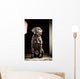 Chocolate Labrador Retriever Wall Mural