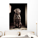 Chocolate Labrador Retriever Wall Mural