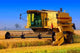 Harvester Tractor Working Rice Wall Decal