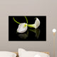beautiful white Calla lilly over black background Wall Mural