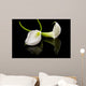 beautiful white Calla lilly over black background Wall Mural
