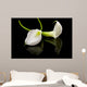 beautiful white Calla lilly over black background Wall Mural