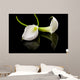 beautiful white Calla lilly over black background Wall Mural