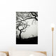 Low Angle View Of Eerie Tree Silhouettes Wall Mural