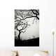 Low Angle View Of Eerie Tree Silhouettes Wall Mural