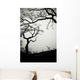 Low Angle View Of Eerie Tree Silhouettes Wall Mural