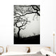 Low Angle View Of Eerie Tree Silhouettes Wall Mural