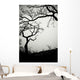 Low Angle View Of Eerie Tree Silhouettes Wall Mural