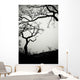 Low Angle View Of Eerie Tree Silhouettes Wall Mural