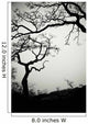 Low Angle View Of Eerie Tree Silhouettes Wall Mural