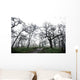 Low Angle View Of Eerie Tree Silhouettes Wall Mural
