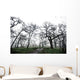 Low Angle View Of Eerie Tree Silhouettes Wall Mural