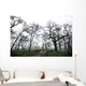 Low Angle View Of Eerie Tree Silhouettes Wall Mural