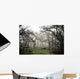 Eerie Fog Shrouded Park Wall Mural