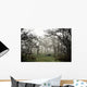 Eerie Fog Shrouded Park Wall Mural
