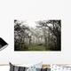 Eerie Fog Shrouded Park Wall Mural