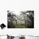 Eerie Fog Shrouded Park Wall Mural