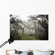 Eerie Fog Shrouded Park Wall Mural