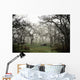 Eerie Fog Shrouded Park Wall Mural