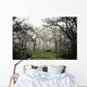 Eerie Fog Shrouded Park Wall Mural
