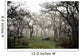 Eerie Fog Shrouded Park Wall Mural