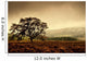 Lone Tree In Field Wall Mural