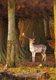 Male Deer In Forest Wall Mural