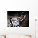 Justice Wall Mural