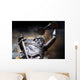 Justice Wall Mural