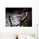 Justice Wall Mural