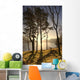 Cumbria, England Wall Mural