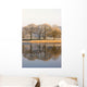 Cumbria, England Wall Mural