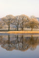 Cumbria, England Wall Mural