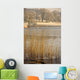 Frozen Water Around Reeds At Shoreline Wall Mural