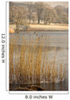 Frozen Water Around Reeds At Shoreline Wall Mural